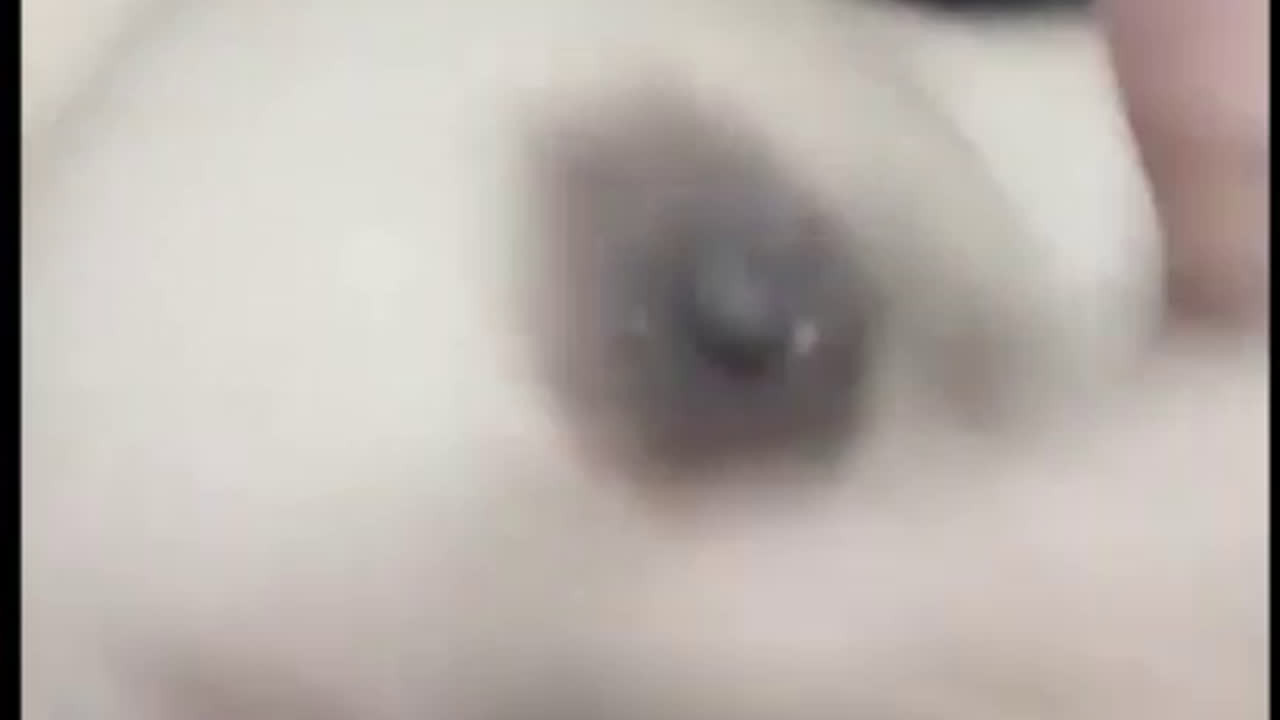 Mbak Zella Live Bugil